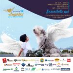 DC-Business-Group-Isabel-Orbe-Angeles5K-post1